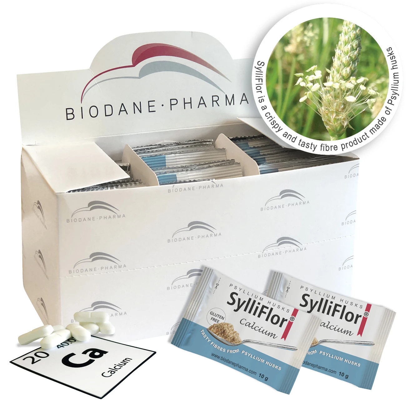 SylliFlor Psyllium шелухи пакетики с кальциевыми высококачественными волокнами пищевые волокна для человека оптовая продажа