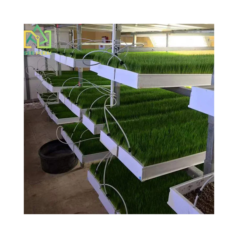 Гидропонная система для выращивания растений Microgreens