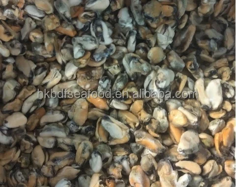 High Quality Hot Sale Without Shell Frozen Cooked Mussels Meat