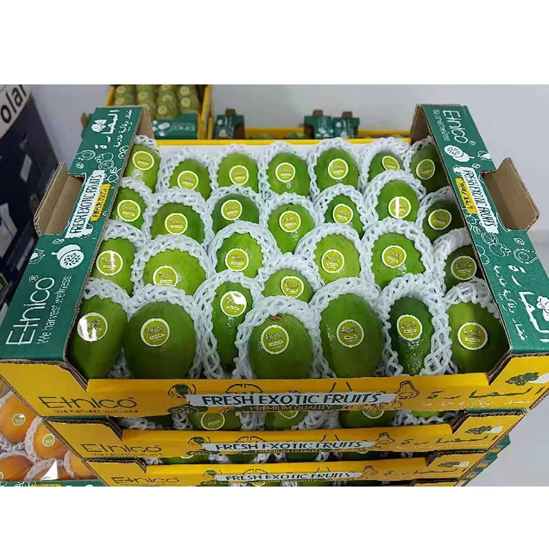  Овальная форма без ГМО Сертифицированный свежий Feijoa Guavasteen фрукты от поставщика