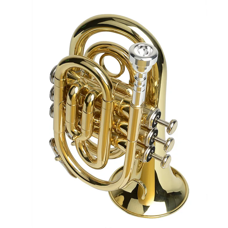 musical instrument brass instrument trumpet Brass lacquer gold Bb mini trumpet