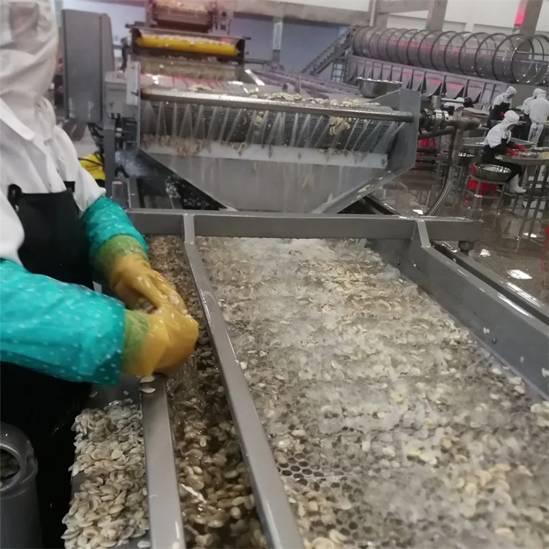 Mushroom Processing And Canning Machine Cutting Blanching Canning System Machines