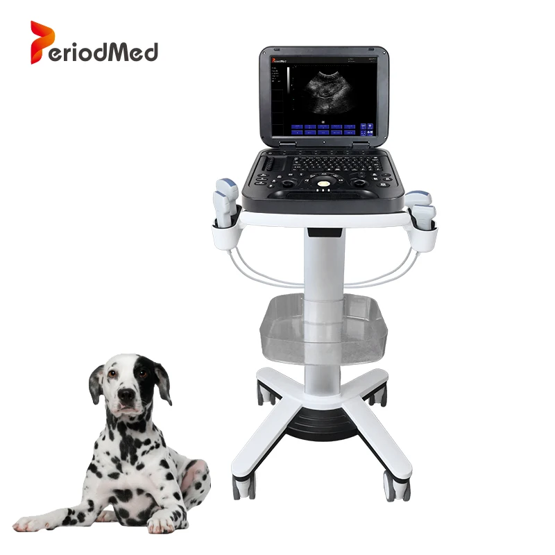 Periodmed pet hospital ultrasound veterinary low cost portable ultrasound scanner