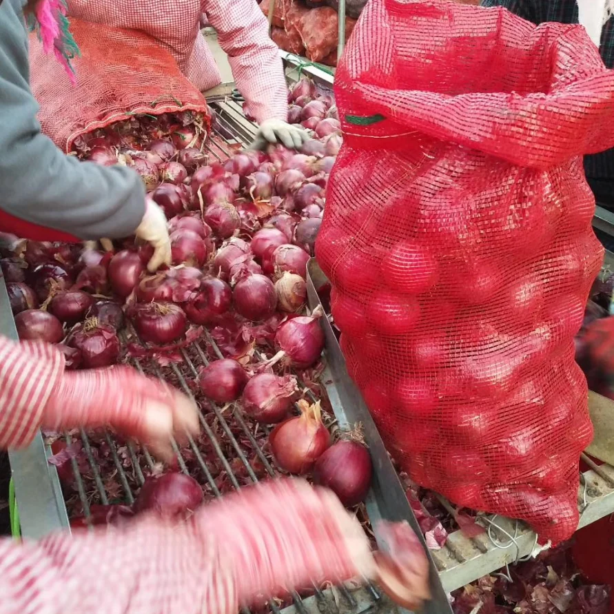 
CHINESE ONION HIGH QUALITY ONION HOT SALE ONION 