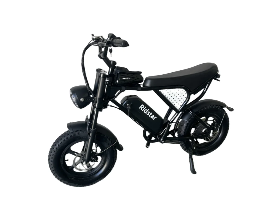 Factory Wholesale Fat Tire Central Mid Drive Dual Lithium Battery Ebike Aluminum Alloy Oem Electric Mountain Bike 16 Inch 1000w