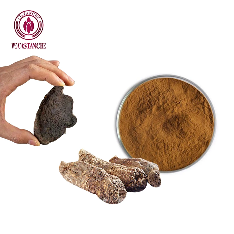 30:1 Nature Supplement Herbal Plant Kidney Supplement Cistanche Deserticola Extract Powder