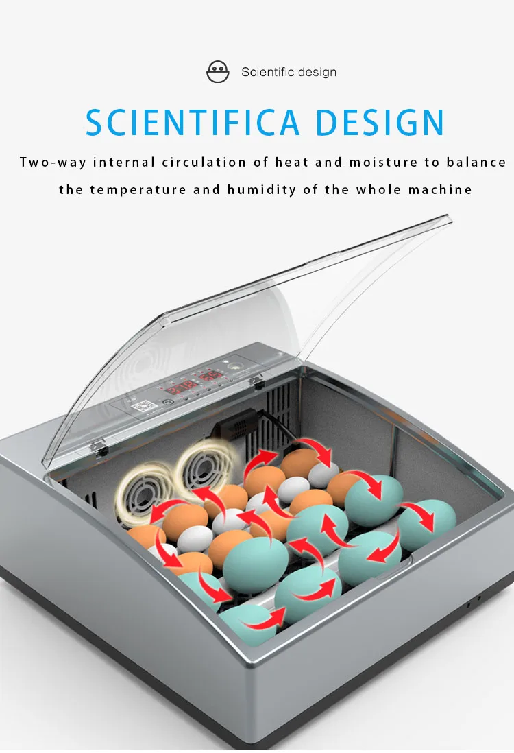 Full-automatic Egg Incubator Spare Parts Plastic Incubator Egg Tray