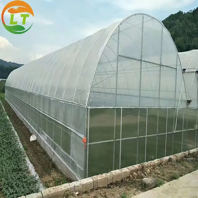 Singl-Span Greenhouse Less Investment And High Land Utilization