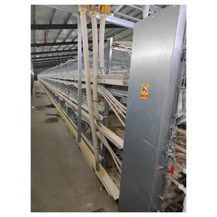 Commercial Farming Poultry Equipment Chicken Farm Broiler Cage H Type Broiler Chicken Cage for Automatic Manure Cleaning