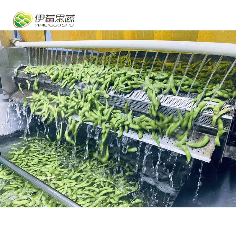New crop cooked soybeans in freeze