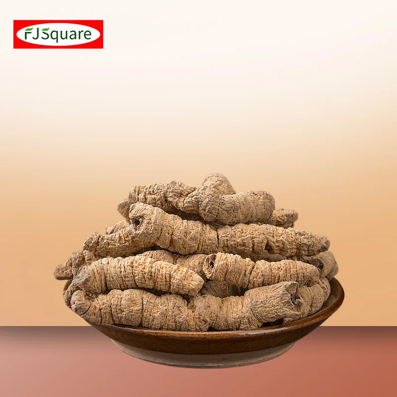 Wholesale Morinda natural dried Morinda high quality Chinese herbal