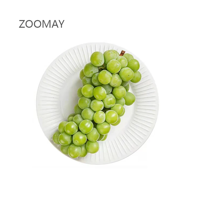  ZOOMAY