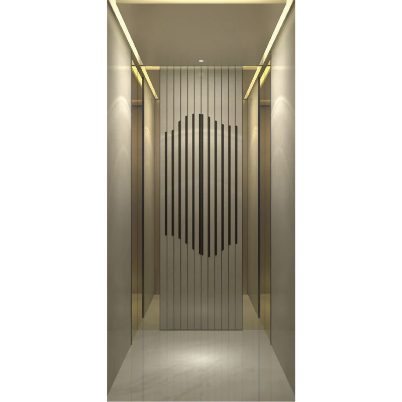 8 Persons Modern Building Luxury Decoration Villa Elevator