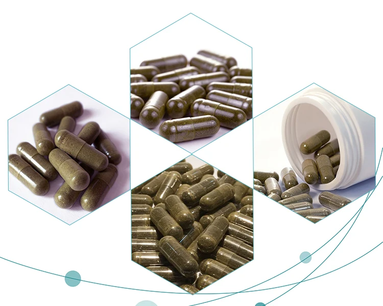Китайская фабрика OEM поставляет порошок Cordyceps Sinensis