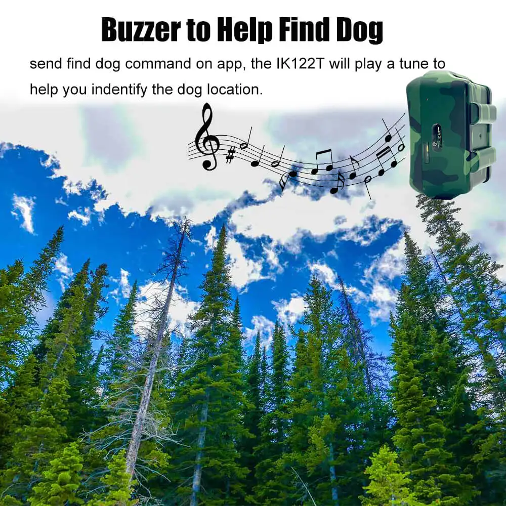 buzzer find dog