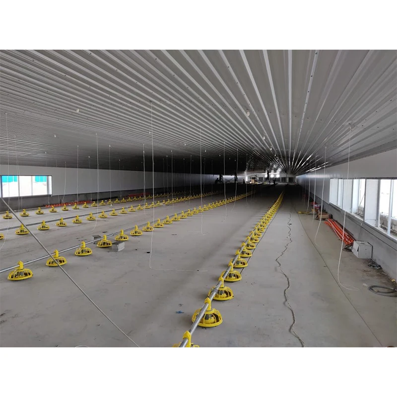 china cheap poultry farming prefabricated Farm chicken house