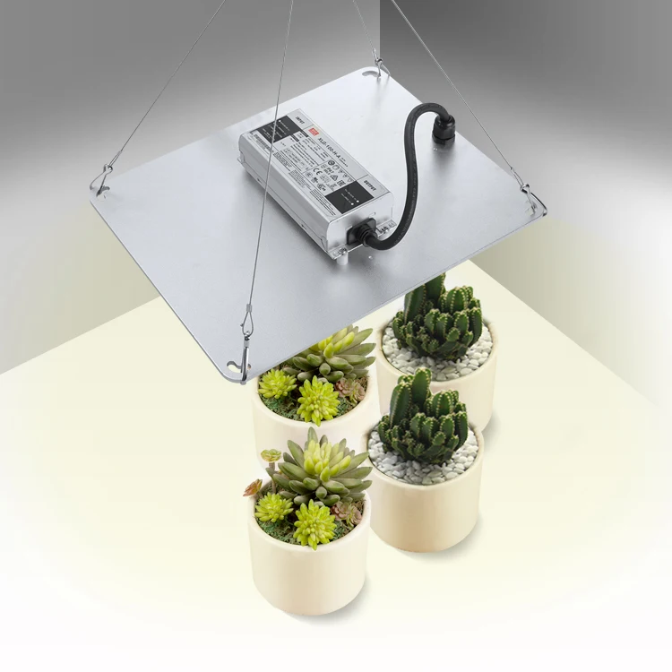 Learnew Full Spectrum commercial horticulture cultivation 100W 200W 400W 600W 301h evo chips Indoor Led Grow Light
