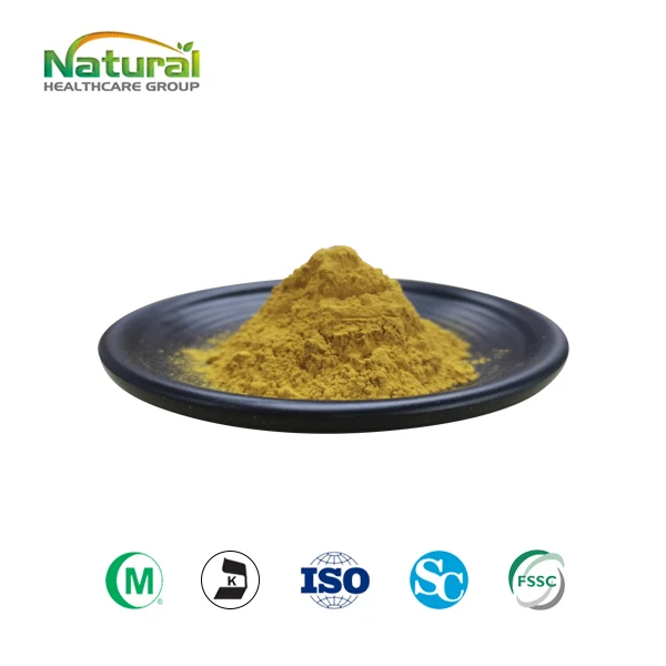 Растительный Экстракт центеллы азиатской экстракт 40% CAS 16830-15-2