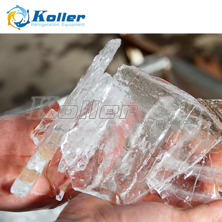 For Fishery Preservation Plate Ice maker (3000 Kg per day)