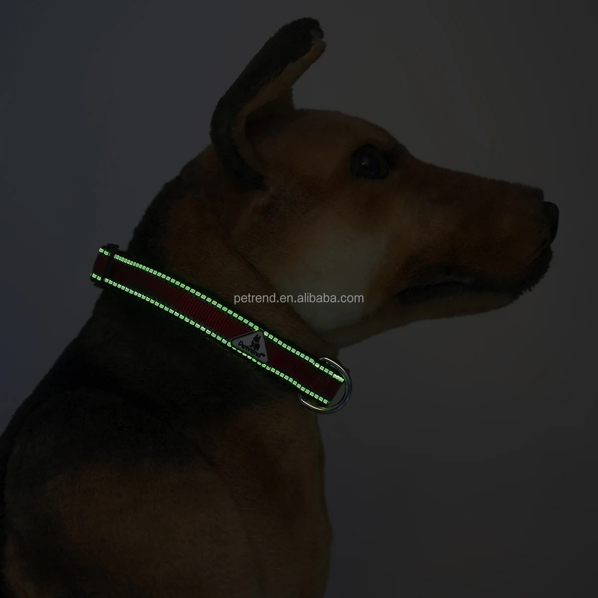 Dog collar G.jpg