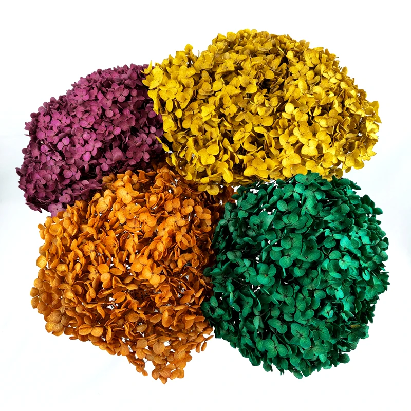 Anna Hydrangeas Wedding Floral Home Decor Large Size Preserved Flowers Real Touch Autumn Colors Eternal Hortensia Hydrangea