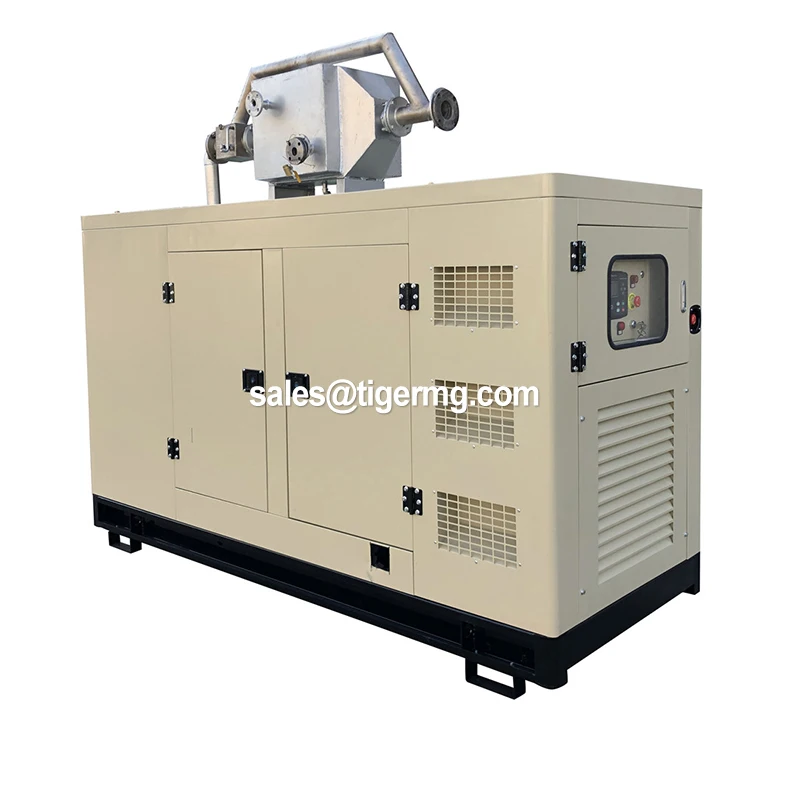 CE & ISO certified 22kw natural gas home generator powered with Weifang engine