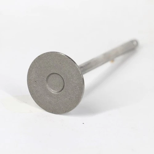 The Fine Quality Automotive Parts Engine Air Intake Valve Parts
