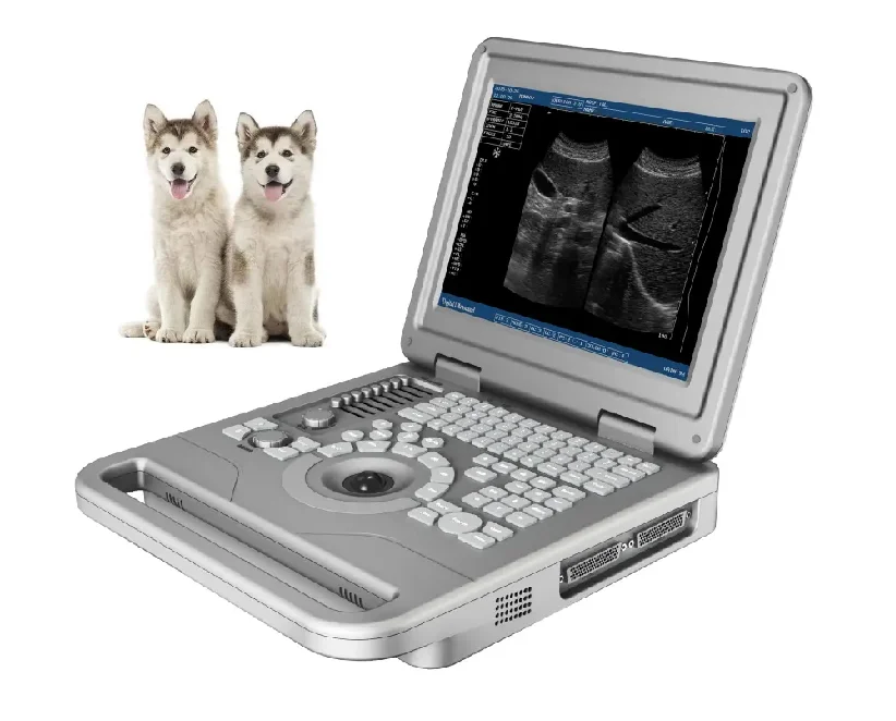 Medical 12 inches High Quality Laptop Ultrasonic Full Digital Ultrasound Machine for Veterinary