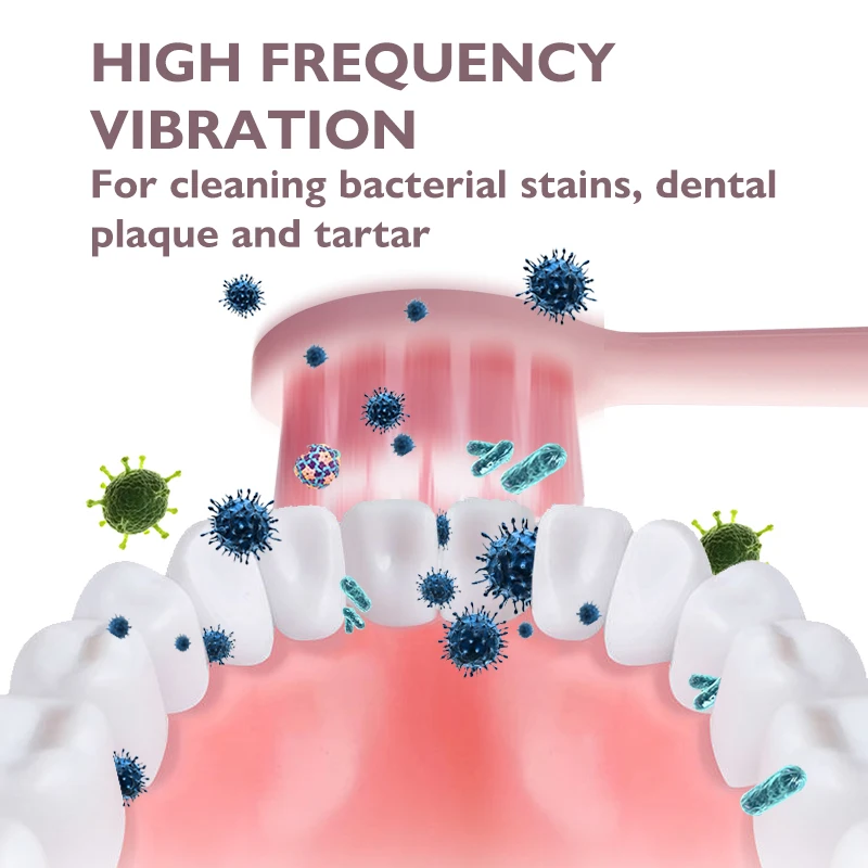 White color electric toothbrush with  CE FCC certificate IPX7  China whole sale OEM Customized logo package