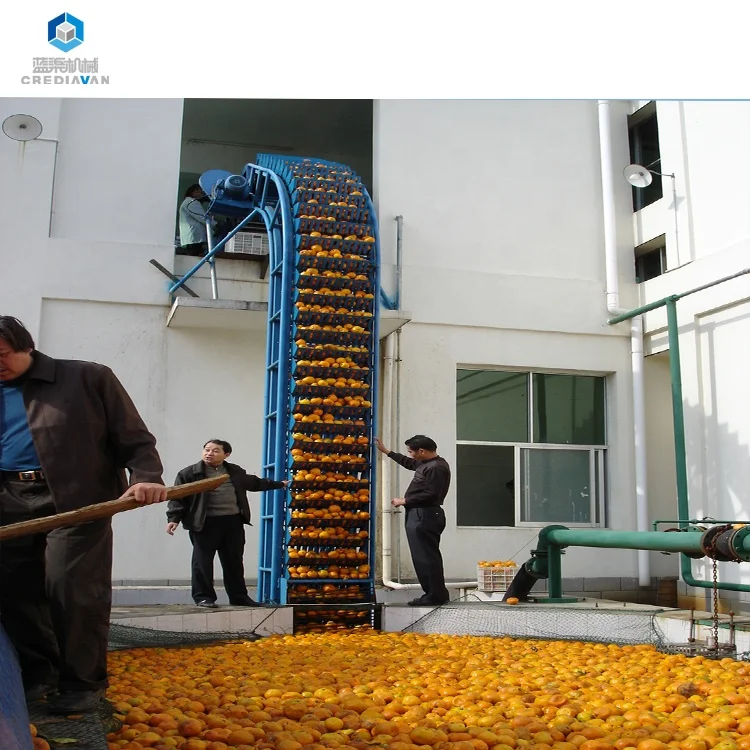 
Citrus fruit orange/lime/lemon/kumquat juice production line 