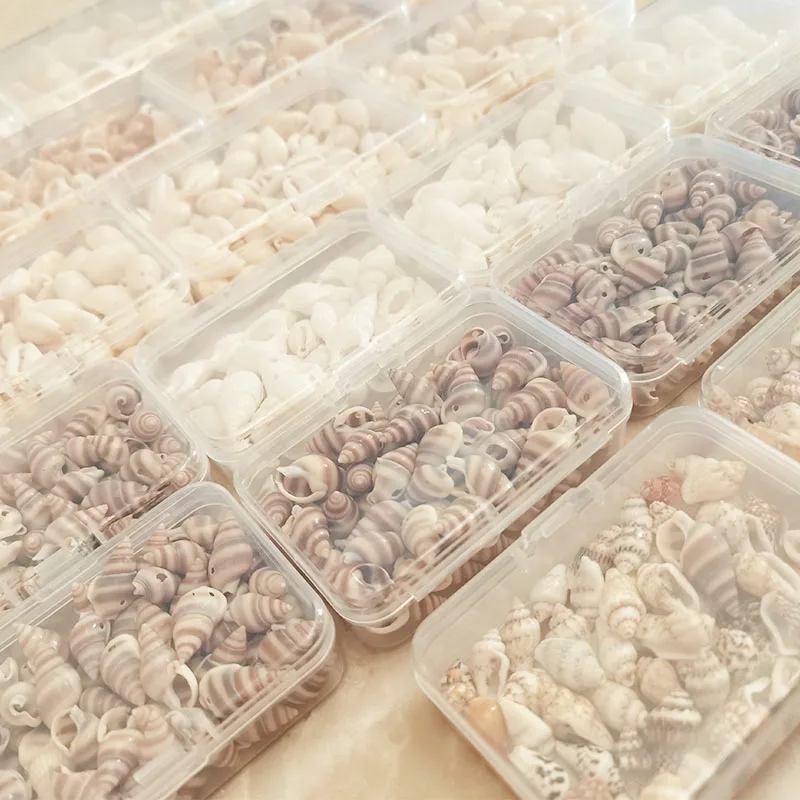 Mixed ocean seashells natural empty clean beach shell raw sea shells combination box packaging for home decor and crafts making