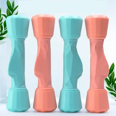 Fashion Design Colorful Body Building Yoga Home Sport Fitness Equipment Adjustable Weighted Dumbbells gym dumbbell for women