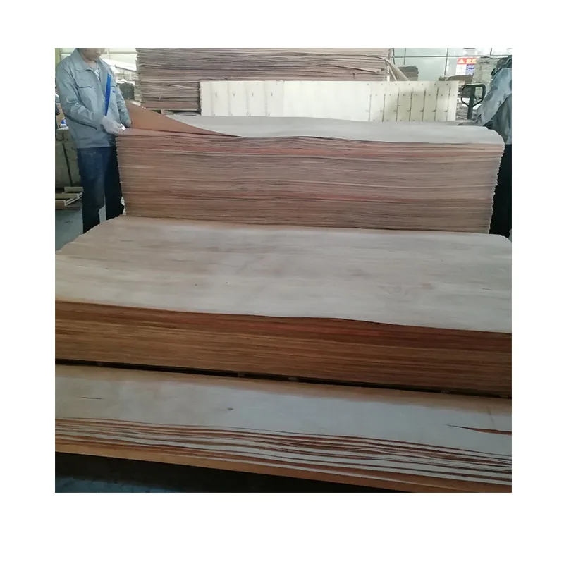 2024 New Design Natural Veneer Plywood Face Veneer Hardwood Veneer for Sale