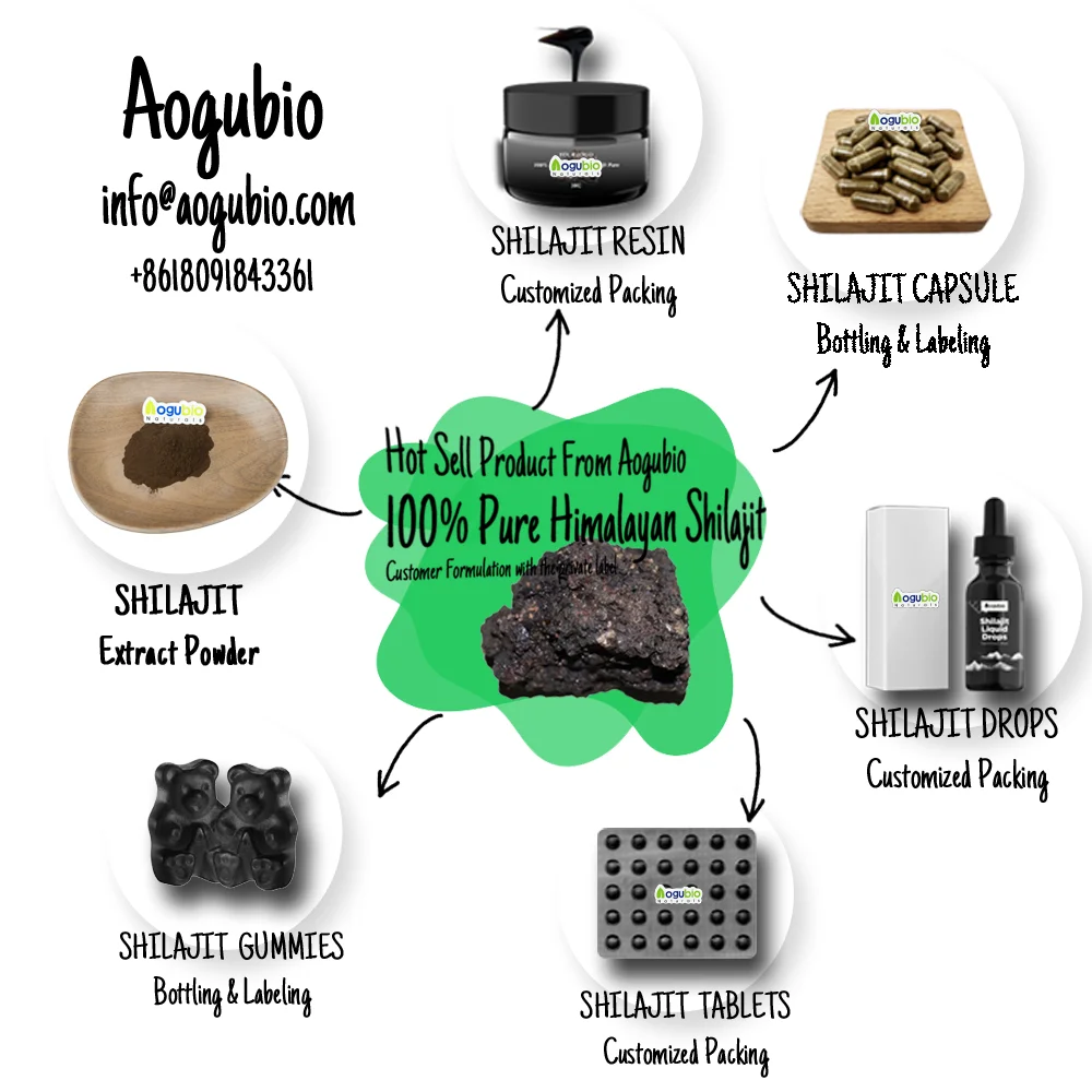 Himalaya Shilajit 100% Pure Resin Food Grade Health Care Products Bottle Shilajit Resin