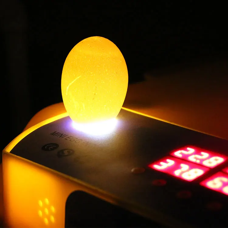 110v/220v/12v digtail 6 display thromostats mini chicken incubator with mulit egg tray for chicken, duck, goose, quail,