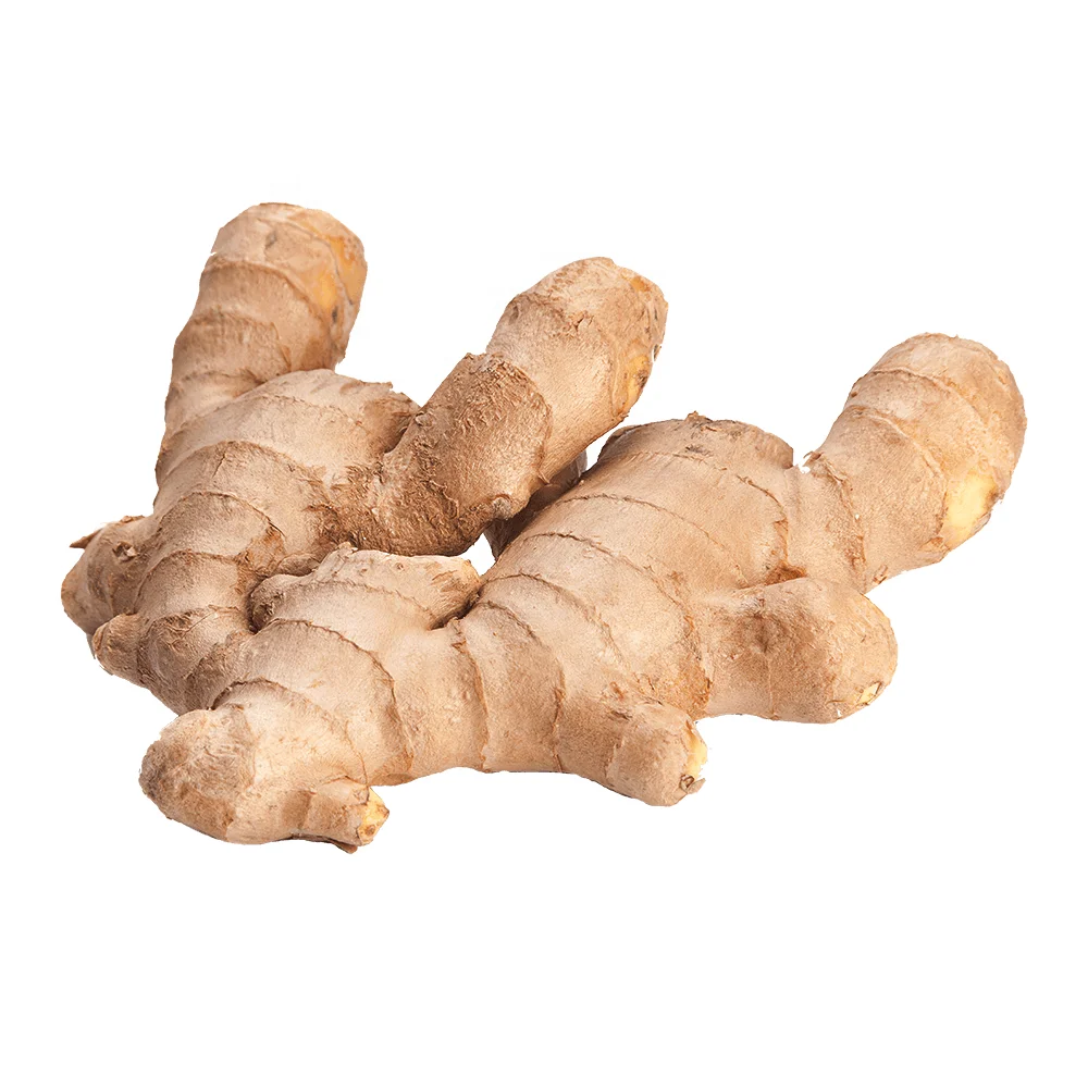 Good quality dried bulk fresh ginger market price per ton wholesale ginger buyers for buy export from China