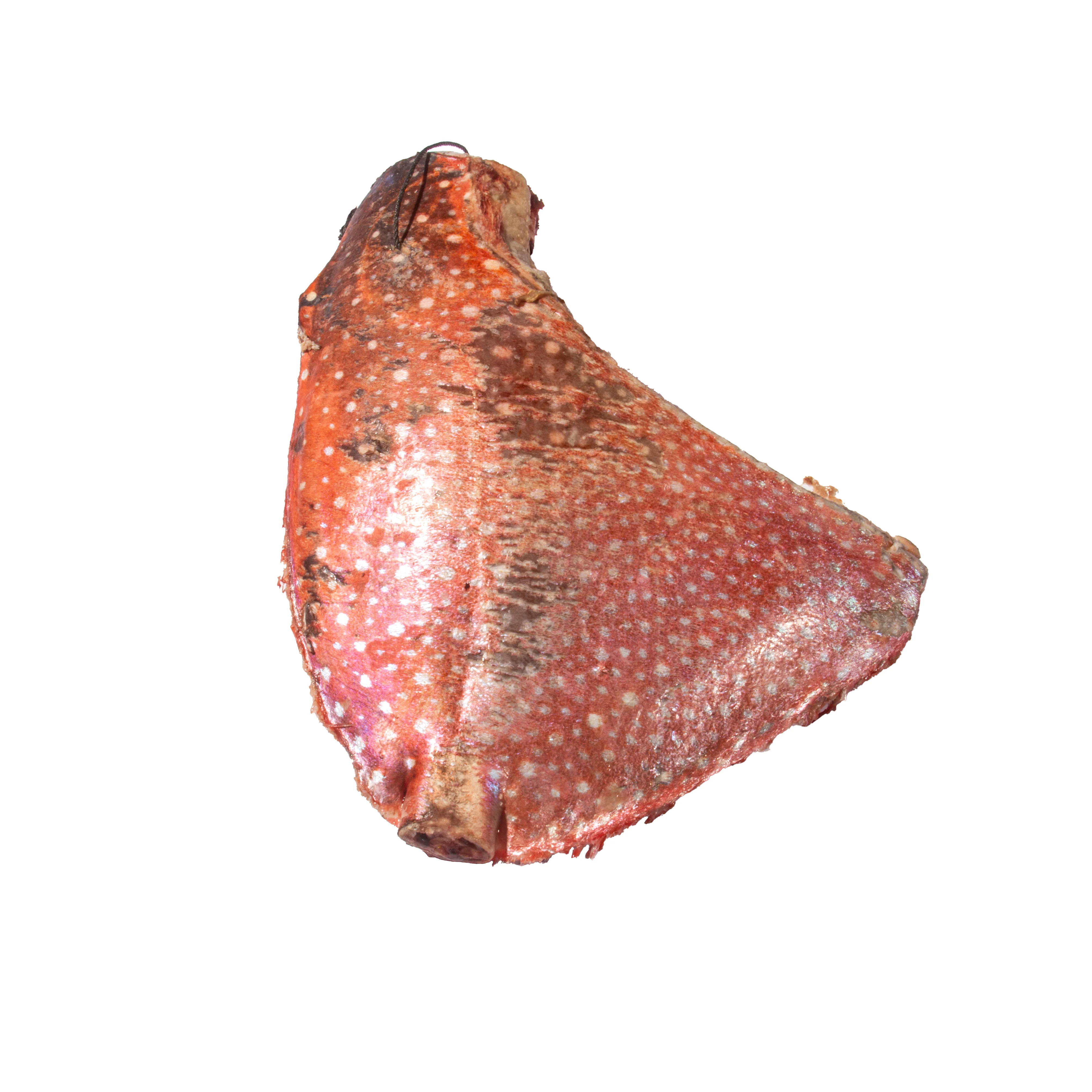 
Fengsheng Good Quality Frozen Seafood Frozen Fresh Raw Material Low Fat Moonfish 