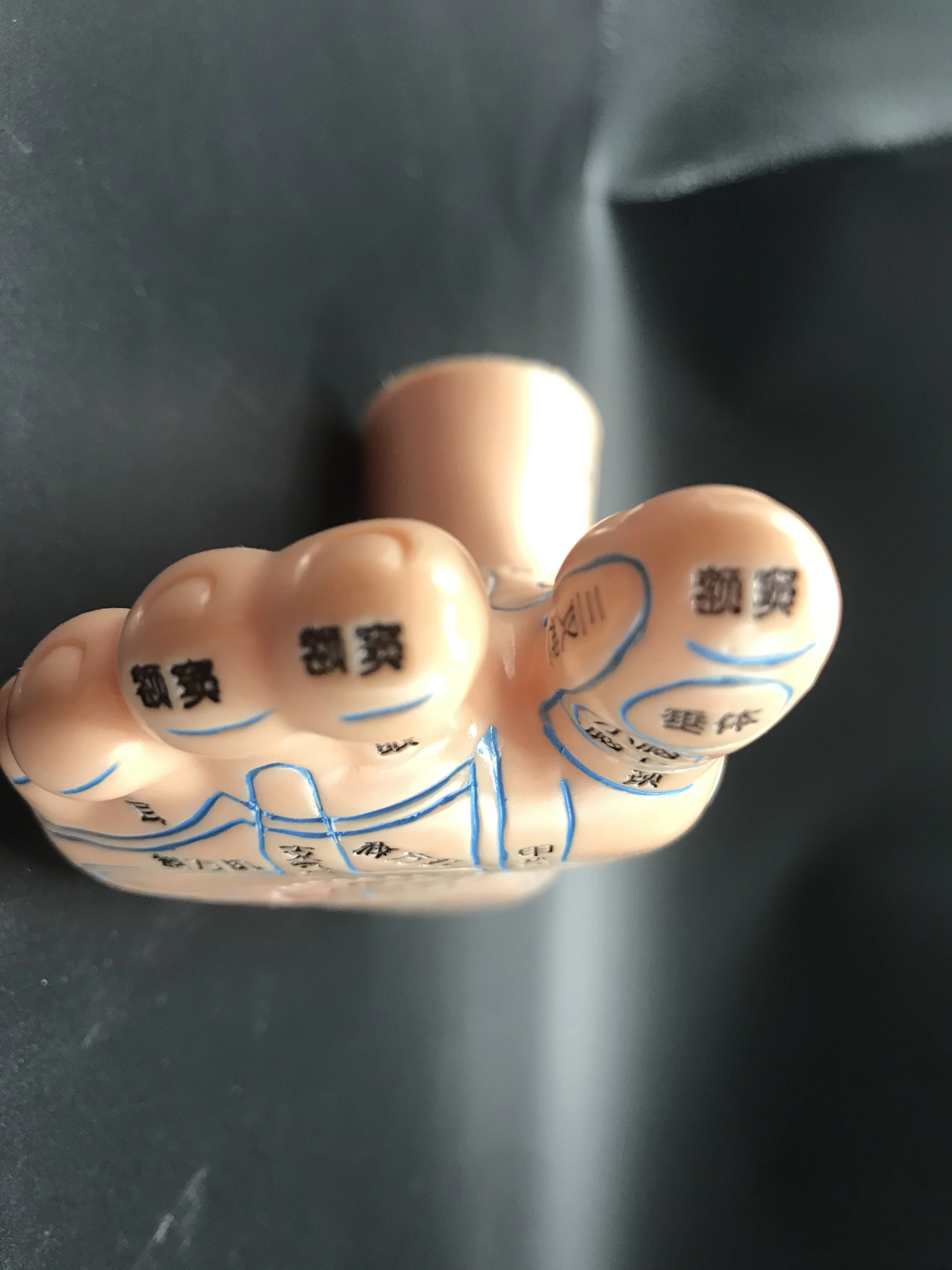 Foot Acupuncture Point Model Acupoint Teaching Right Feet Massage Area Teaching Tool Acupoint Anatomy Model