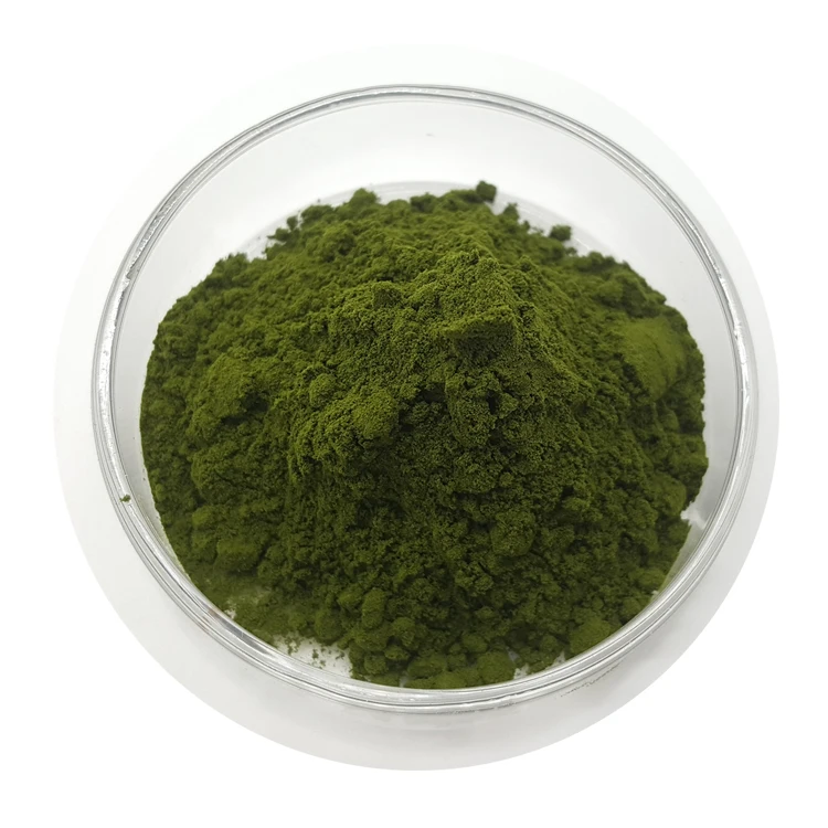 
High quality Herbal Extract Natural Chlorella Extract Chlorella Spirulina Powder with Best Price 
