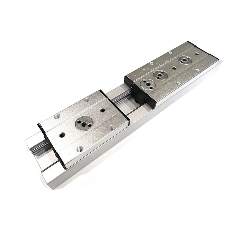 Low cost Low profile ball type linear guide SGR25 dual shaft guide support for cnc ballscrew machine