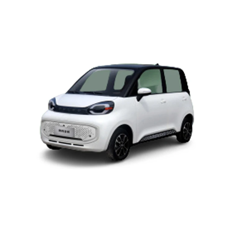 
High speed electric new car RH-Duoduo PUNK 100km/h mileage 150km-170km for city used 