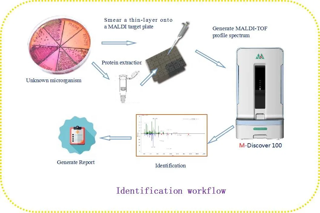 Meihua 2024 Best Selling Medical Microbial System Lab Gas Chromatograph Mass Spectrometer