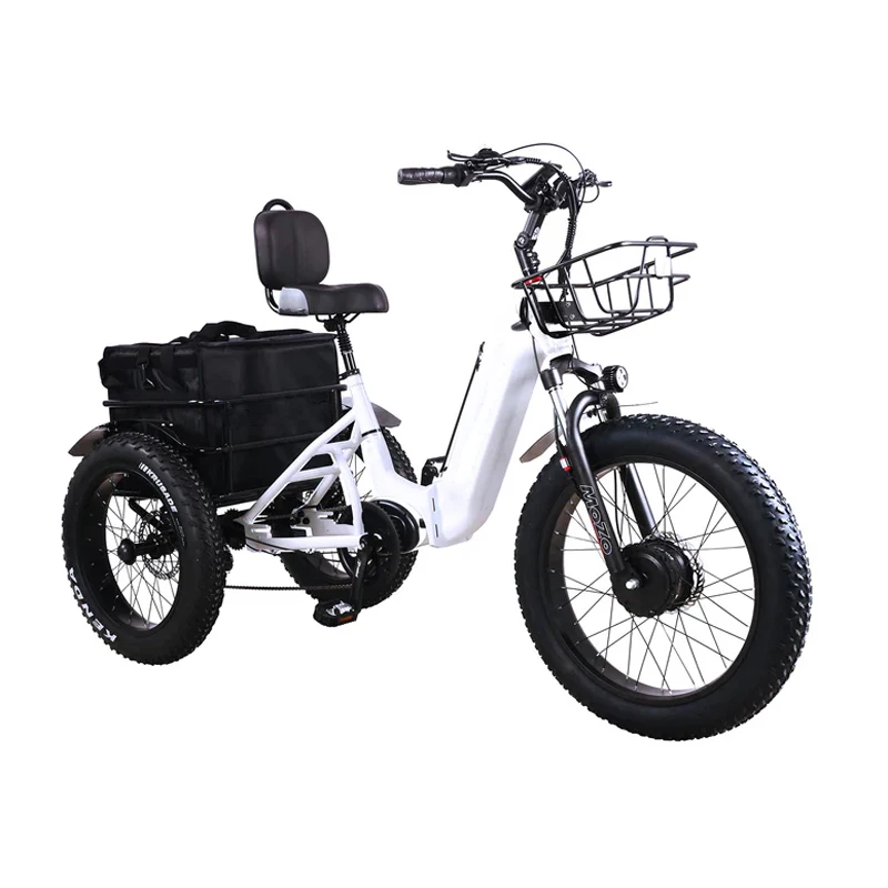 China manufacturer adult tricycle 750w 1000w with differential 24&20 inch 4.0 fat tire with comfortable saddle backrest trike