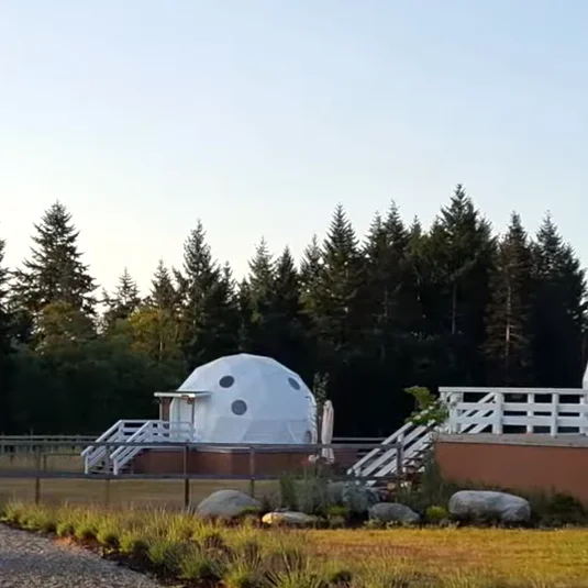 Customized Outdoor Glamping Windproof Camping  Dome Tent Factory Wholesale for Desert Igloo Dome Tent Trade Show Tents