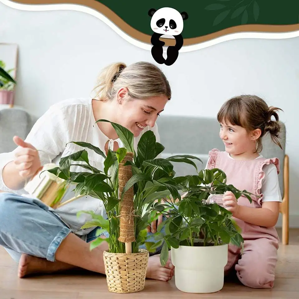 Best Selling   Deformable Plant Climbing Frame Coconut Palm Green Radish Gardening Bracket Coconut Palm Sticks Moss Pole