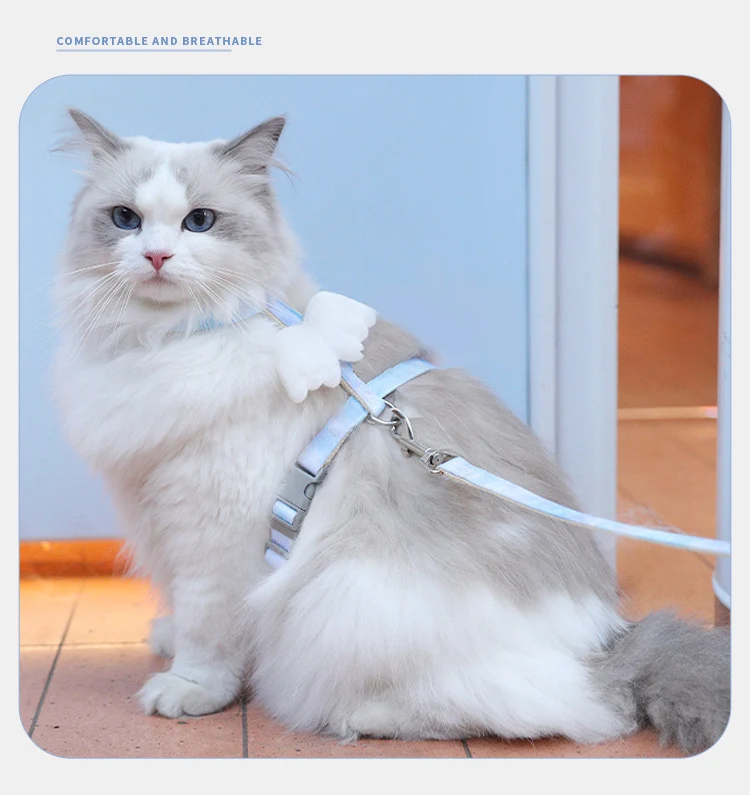 Cute Wings Style Cat Harnesses Anti Break Cat Walking Lead Rope Quick Release Cat Harness Rope
