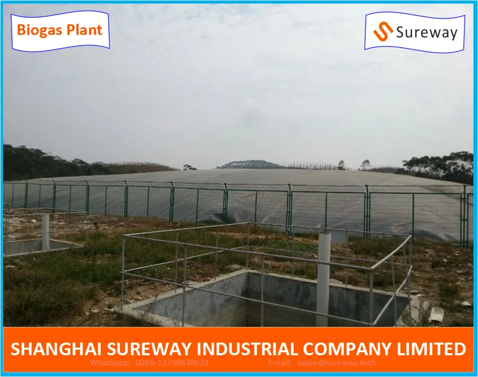 Animal Farm 20000m3 Anaerobic Lagoon Biogas Plant