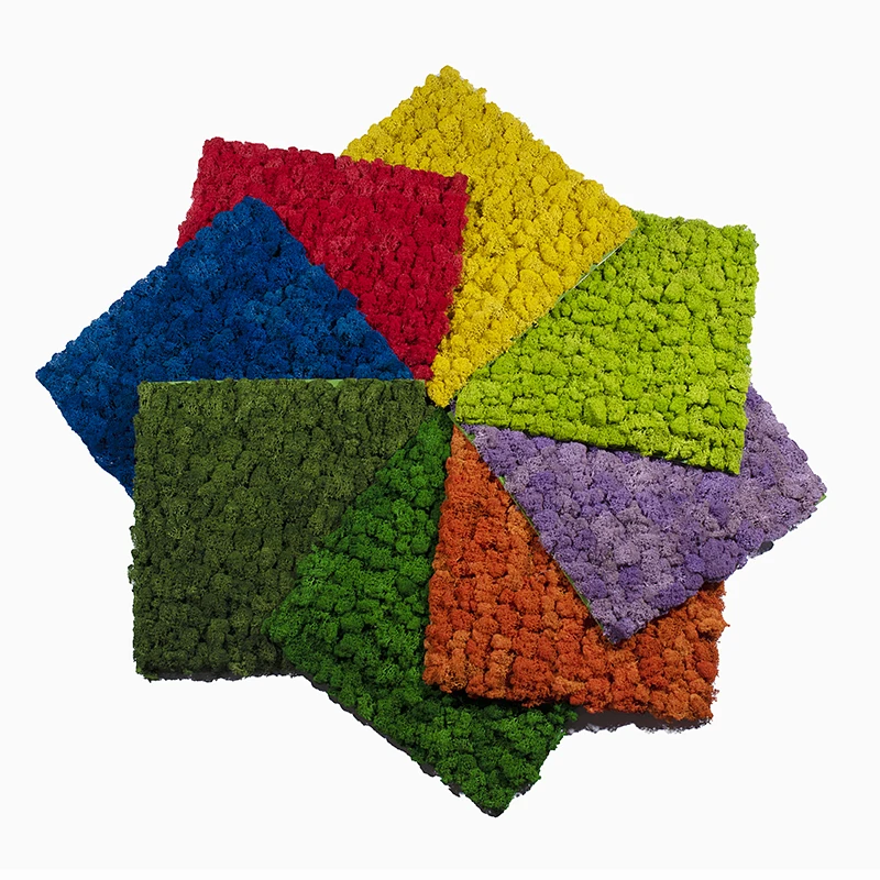 New Ideal Plant Wall Stabilized Moss Wall Irish Moss Panel Preserved Moss Tiles