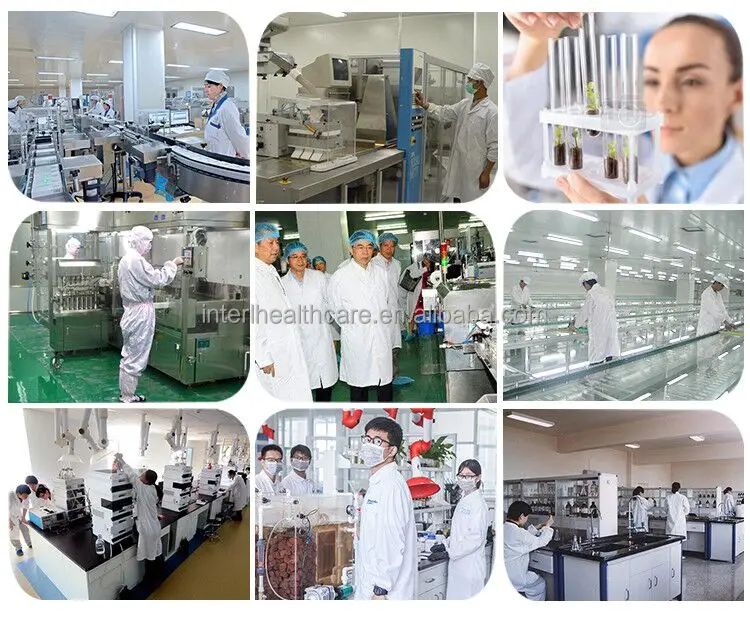 Food Grade amylase enzyme alpha and beta amylase subliment Bulk Beta-Amylase Enzyme powder