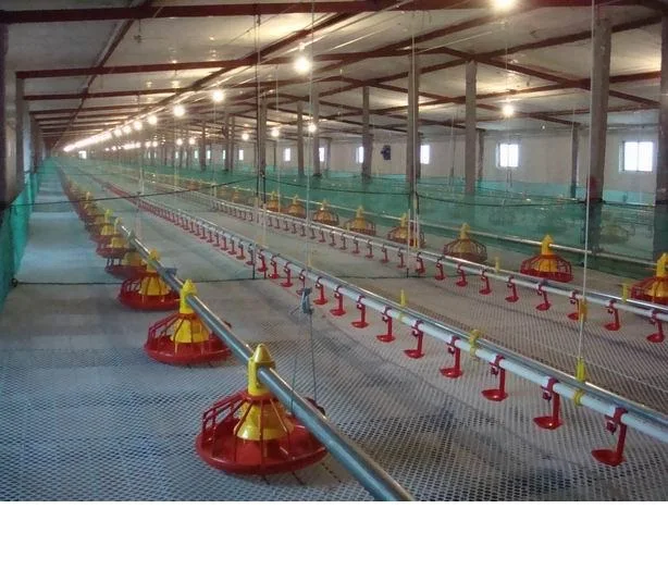 Modern poultry farm equipment  chicken duck drinking line with PVC tube feeding line feeding system